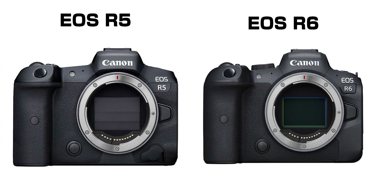 EOS R5 vs EOS R6