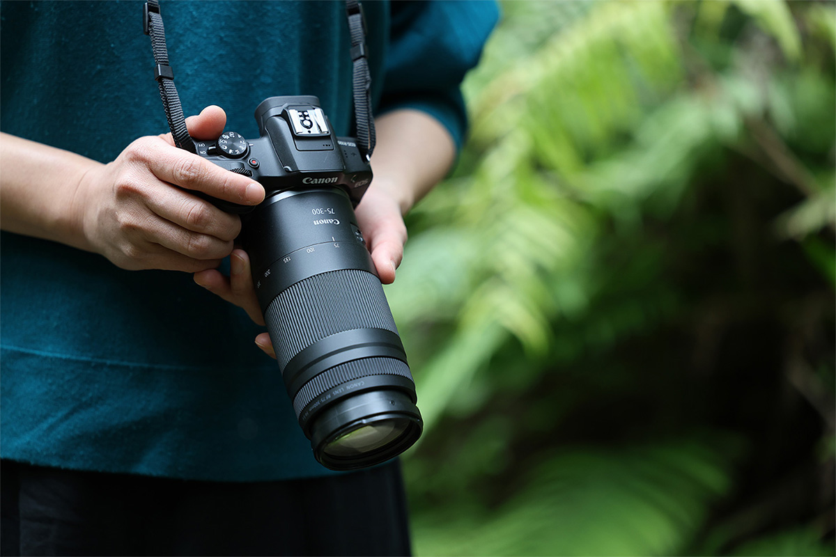 RF75-300mm F4-5.6
