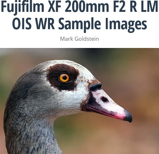 富士フイルム XF8-16mmF2.8 R LM WR サンプル画像