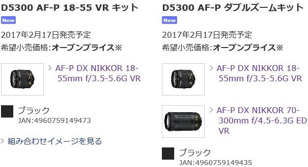D5300 AF-P レンズキット