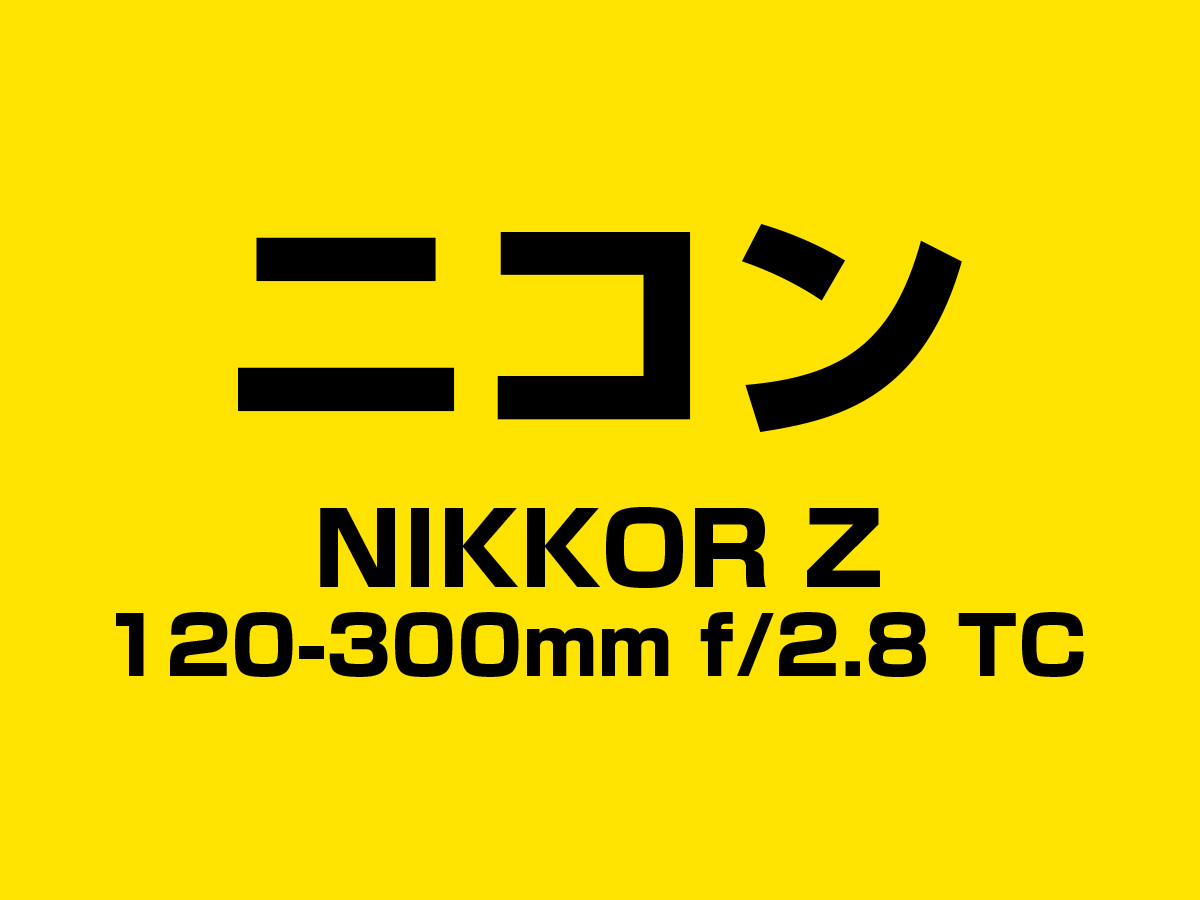 NIKKOR Z 120-300mm f/2.8 TC
