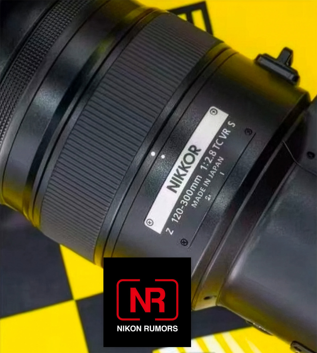 NIKKOR Z 120-300 f/2.8 TC VR S