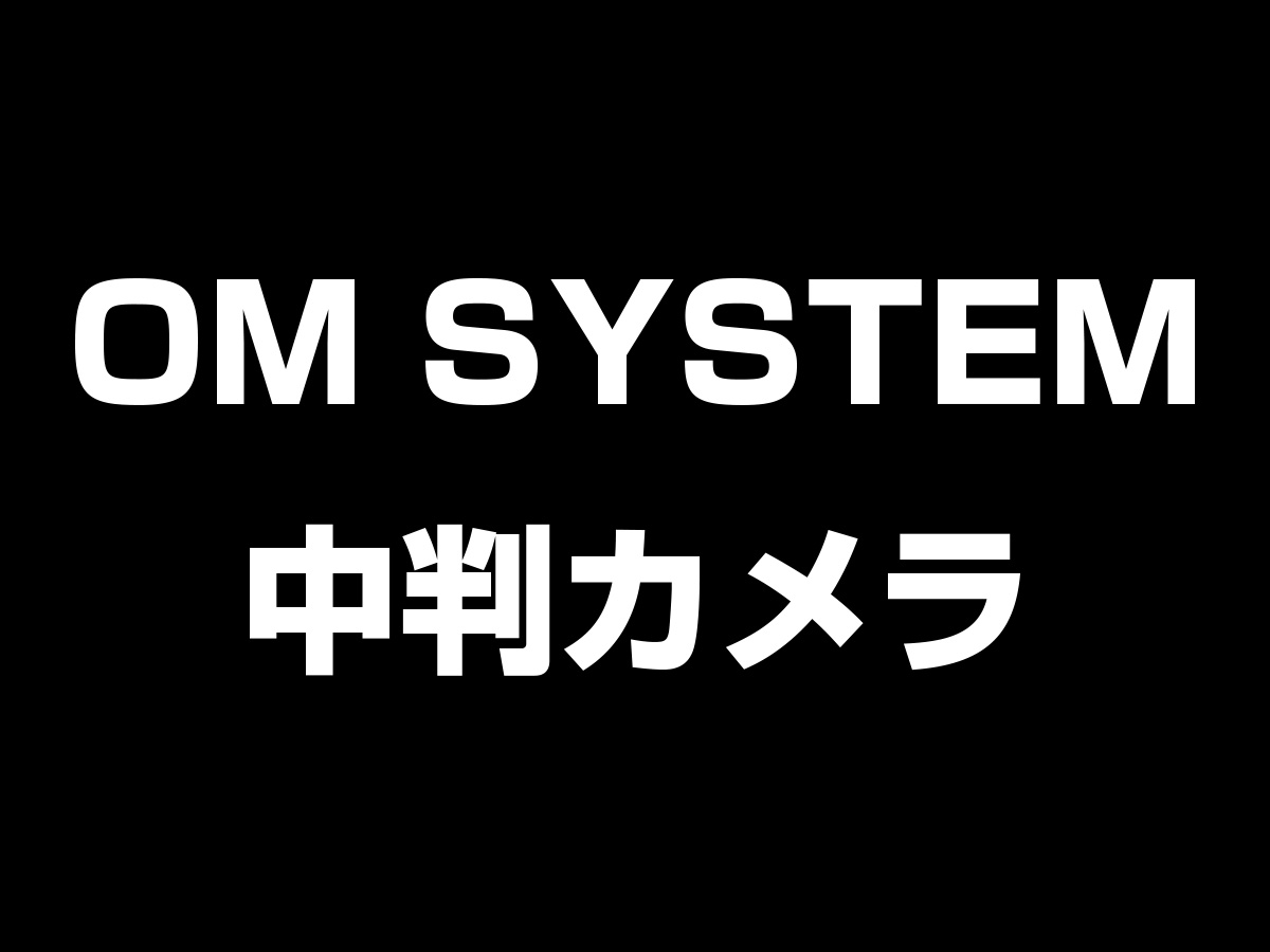 中判カメラ