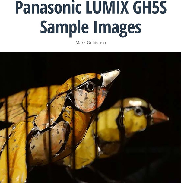 パナソニック LUMIX GH5S サンプル画像