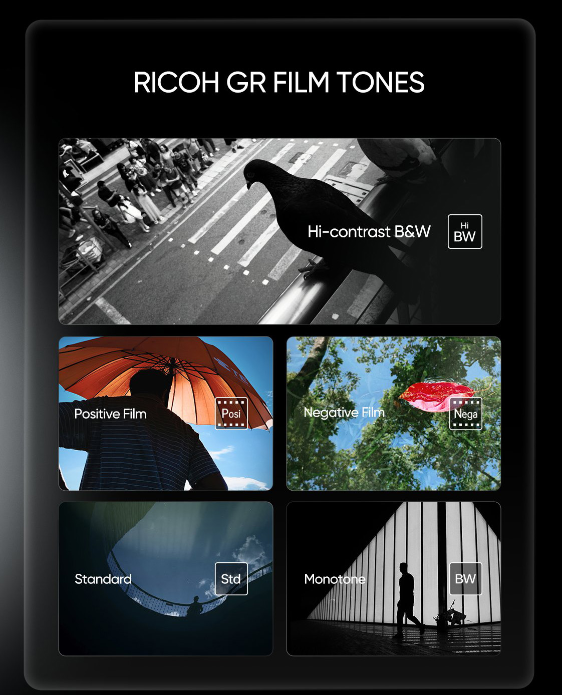 フィルムトーン