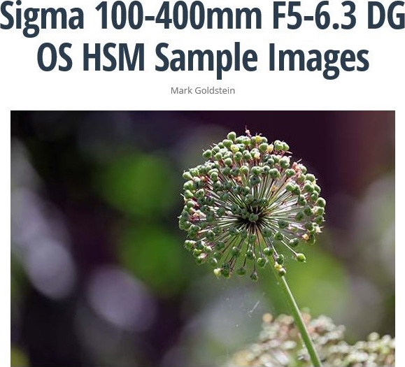 シグマ 100-400mm F5-6.3 DG OS HSM サンプル画像