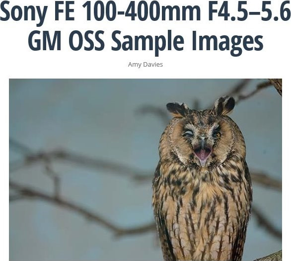 ソニー FE 100-400mm　F4.5-5.6 GM OSS サンプル画像