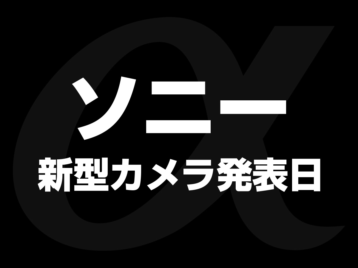 発表日