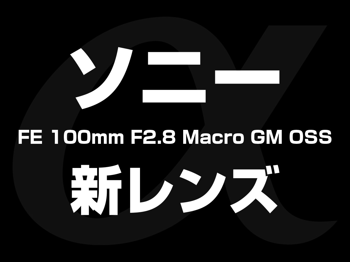 FE 100mm F2.8 GM Macro