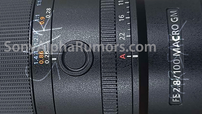 FE 100mm F2.8 Macro GM OSS