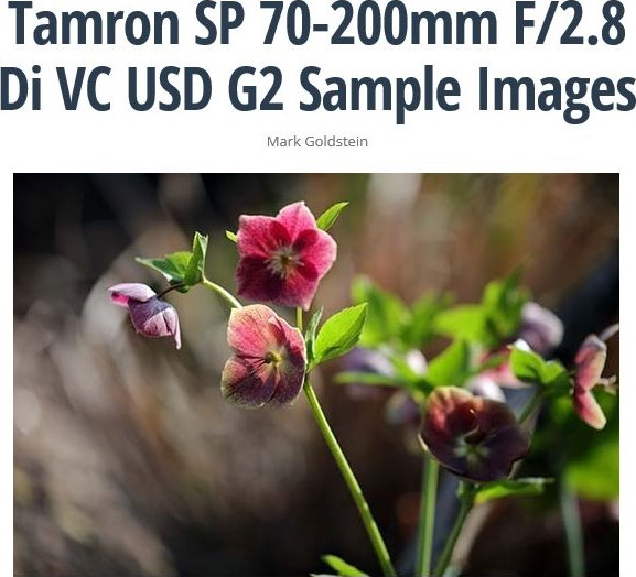 タムロン SP 70-200mm F/2.8 Di VC USD G2 サンプル画像