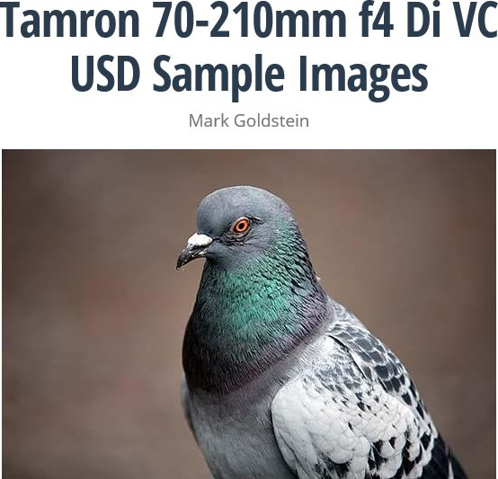 タムロン 70-210mm F/4 Di VC USD サンプル画像