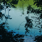 池
