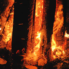 炎