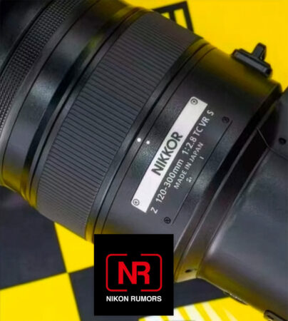 NIKKOR Z 120-300mm f/2.8 TC VR S