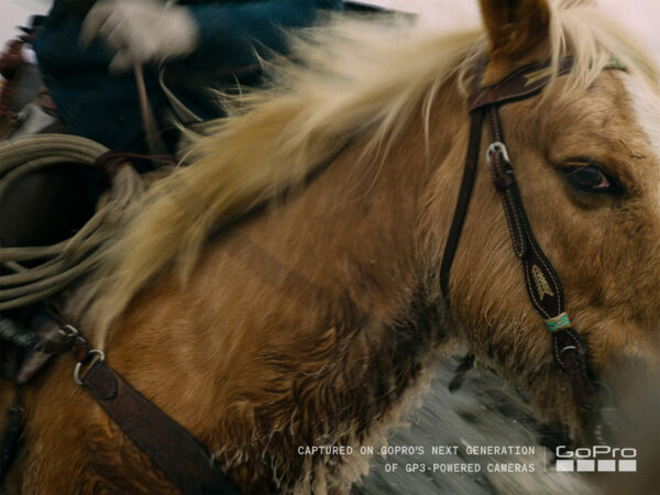 GoProサンプル画像