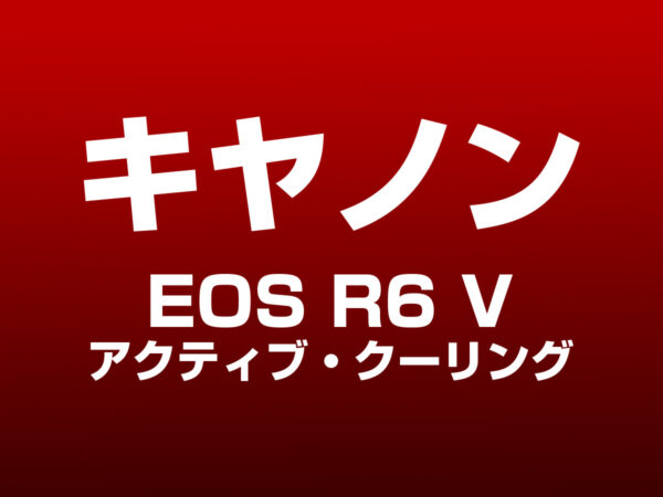 キヤノン EOS R6 V