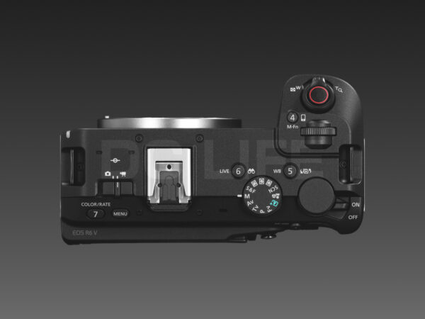EOS R6 V