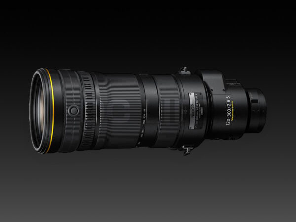 ニコン NIKKOR Z 120-300mm f/2.8 TC VR S