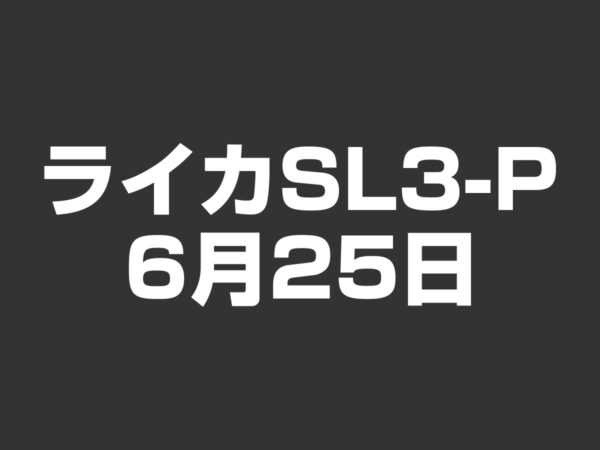 ライカ SL3-P