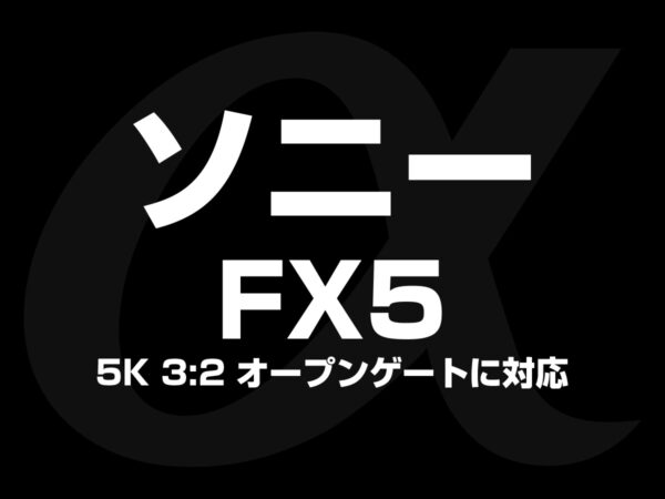 ソニー FX5 オープンゲート