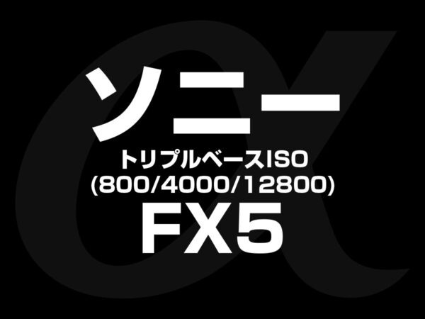 ソニー FX5 トリプルベースISO