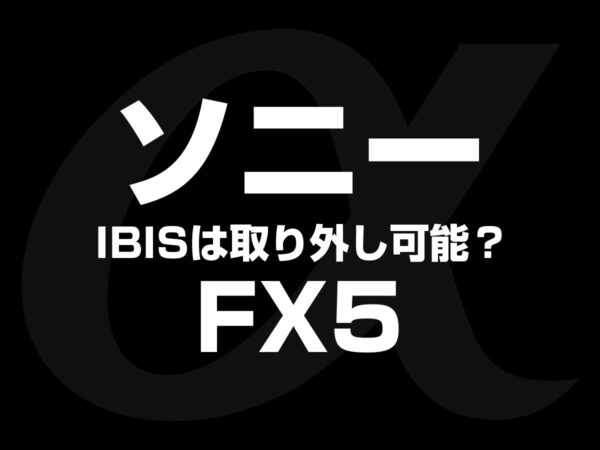 ソニー FX5 IBIS 取り外し可能