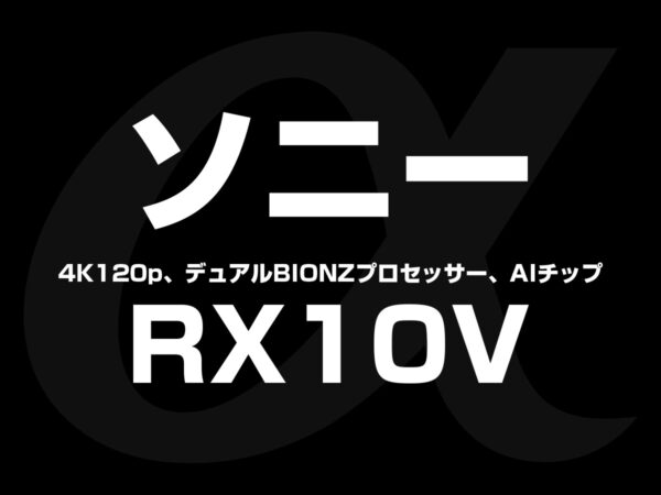 RX10 V スペック情報
