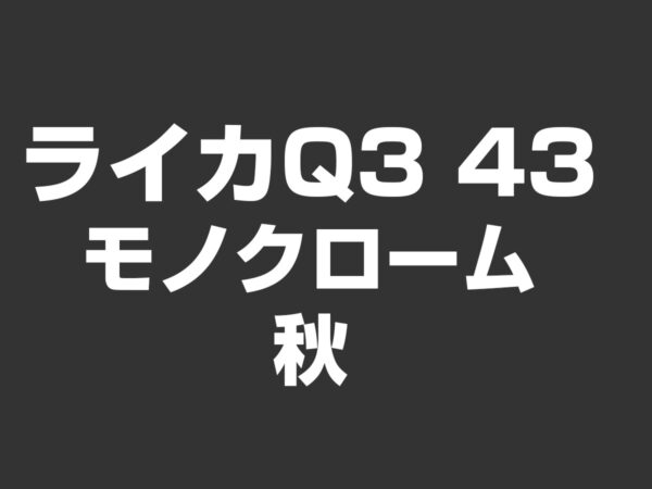 ライカQ3 43 モノクローム