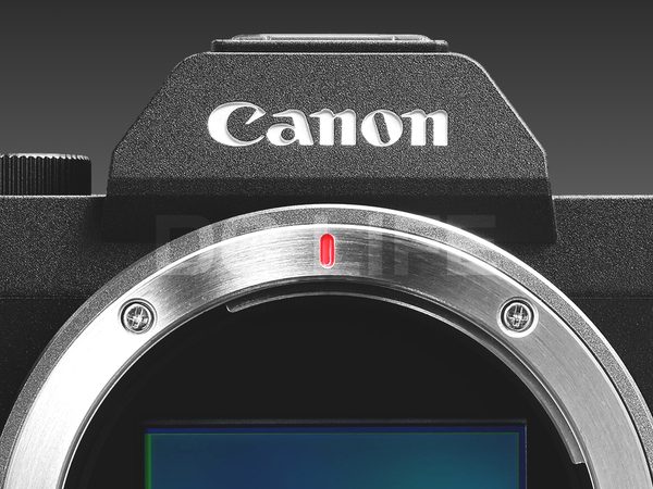 キヤノン EOS R8 Mark II