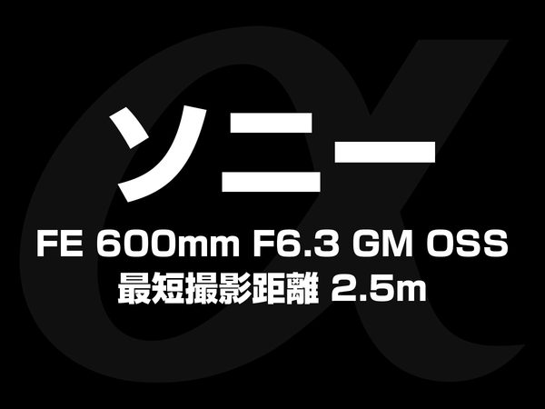 ソニー FE 600mm F6.3 GM OSS 最短撮影距離 2.5m