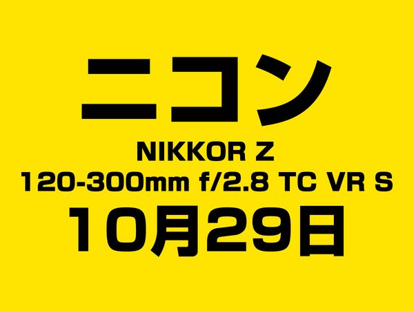 NIKKOR Z 120-300mm f/2.8 TC VR S